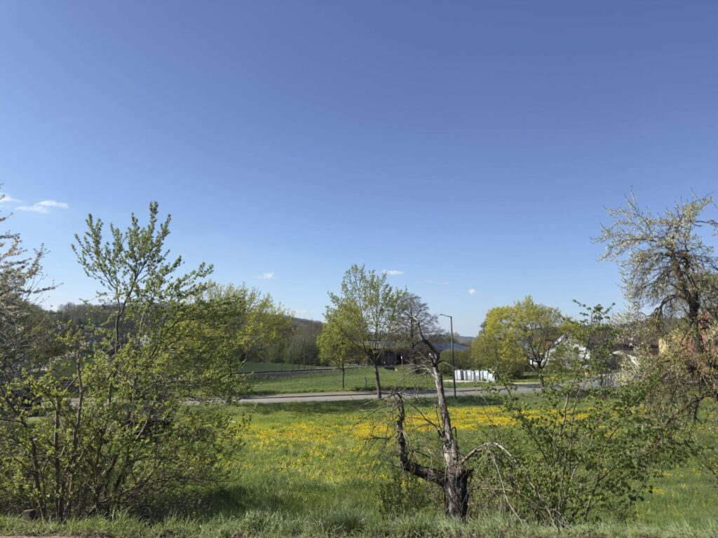 Lage im Grünen